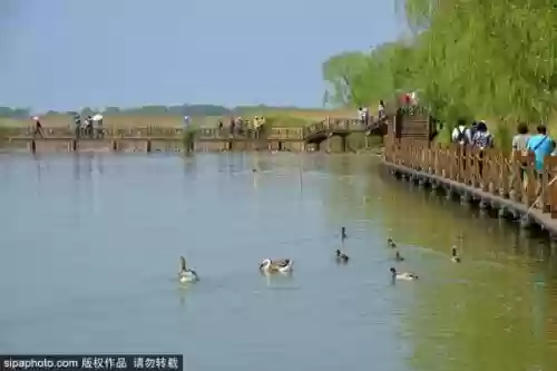 北京十大湿地公园(北京必去十大景点)插图1