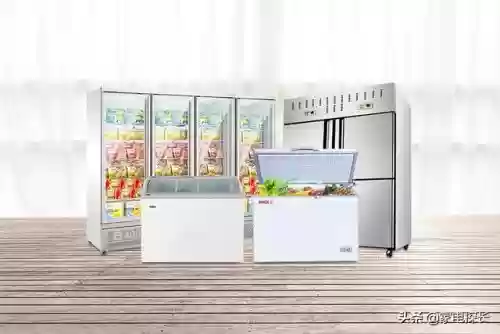 十大商用冷柜品牌(冷柜品牌排行榜前十名)插图