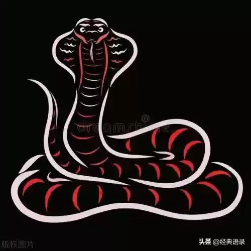 属蛇的人2014年运程(1977年属蛇2019年运势如何)插图2