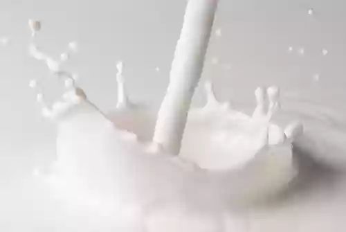 驼奶的十大好处(驼奶初乳的功效与作用)插图7