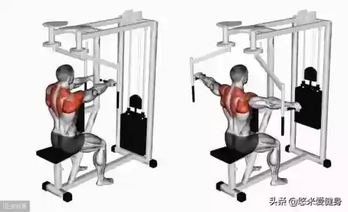 十大最佳肩部训练动作(练肩最好的6个动作)插图5