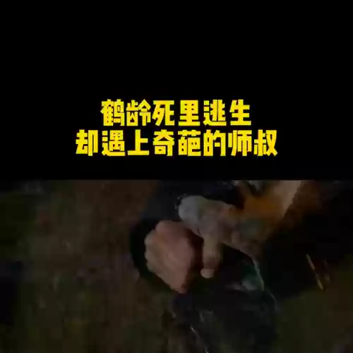 十大奇冤粤语版(十大奇冤TVB)插图1
