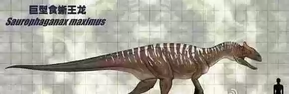 十大最强食草恐龙排名(食草恐龙有哪些种类)插图4