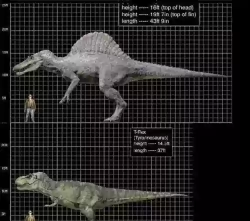 十大最强食草恐龙排名(食草恐龙有哪些种类)插图15