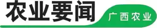 广西十大稻米(广西水稻高产品种排名)插图